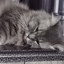jefftester
